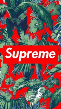 Iphone Supreme Wallpaper 2