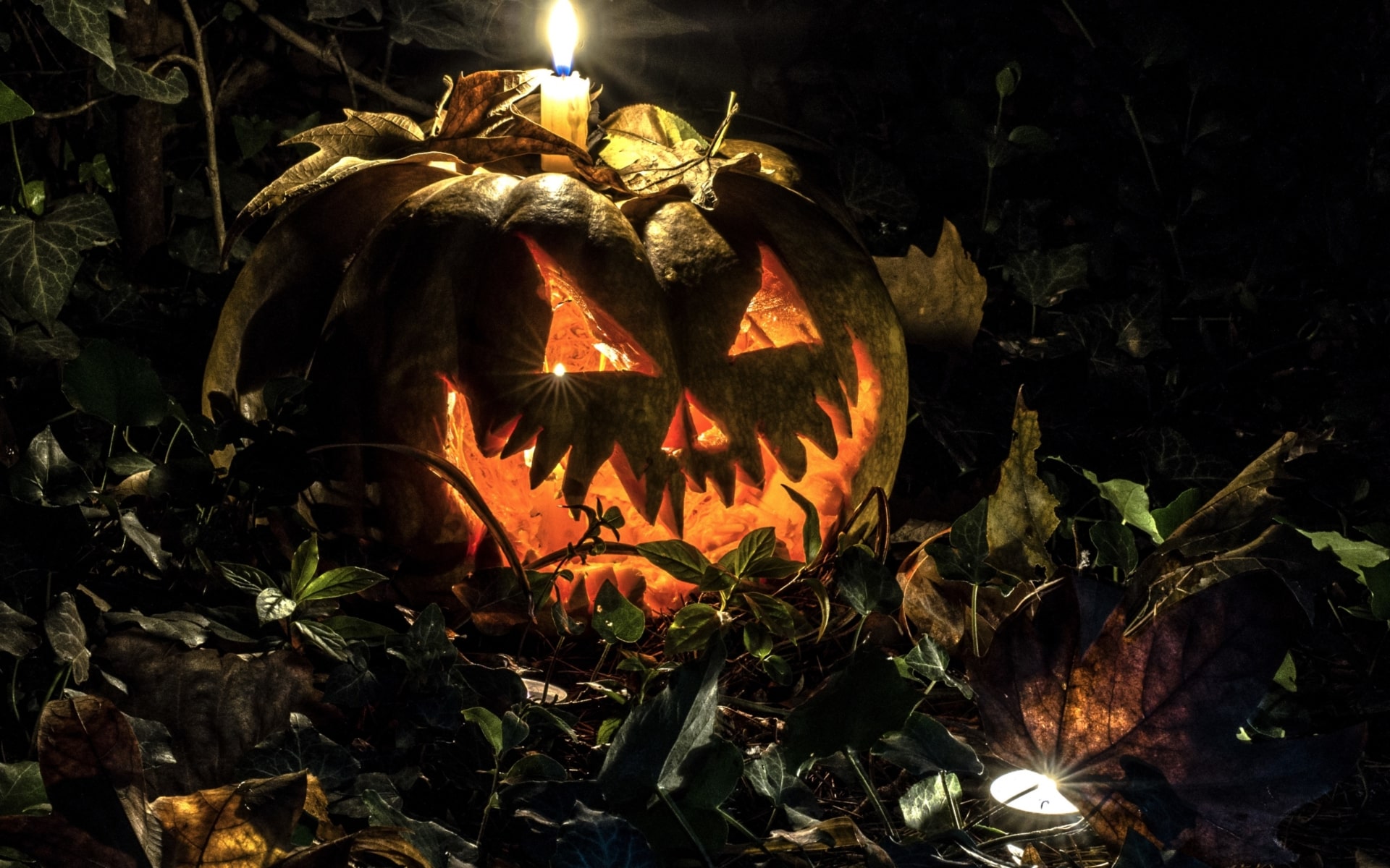 Scary Pumpkin Wallpaper - KoLPaPer - Awesome Free HD Wallpapers