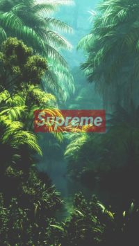 Supreme Forest Wallpaper