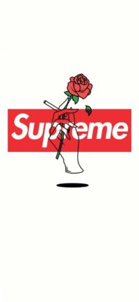 Supreme Red Rose Wallpaper