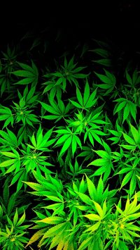 Weed Background