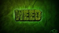 Weed Wallpaper Desktop