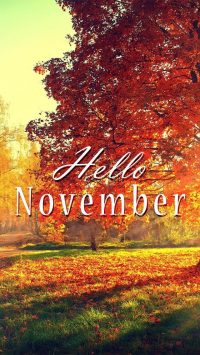 Hello November Wallpaper