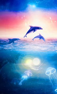 Aesthetic Dolphin Wallpaper