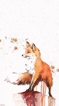 Aesthetic Fox Wallpaper