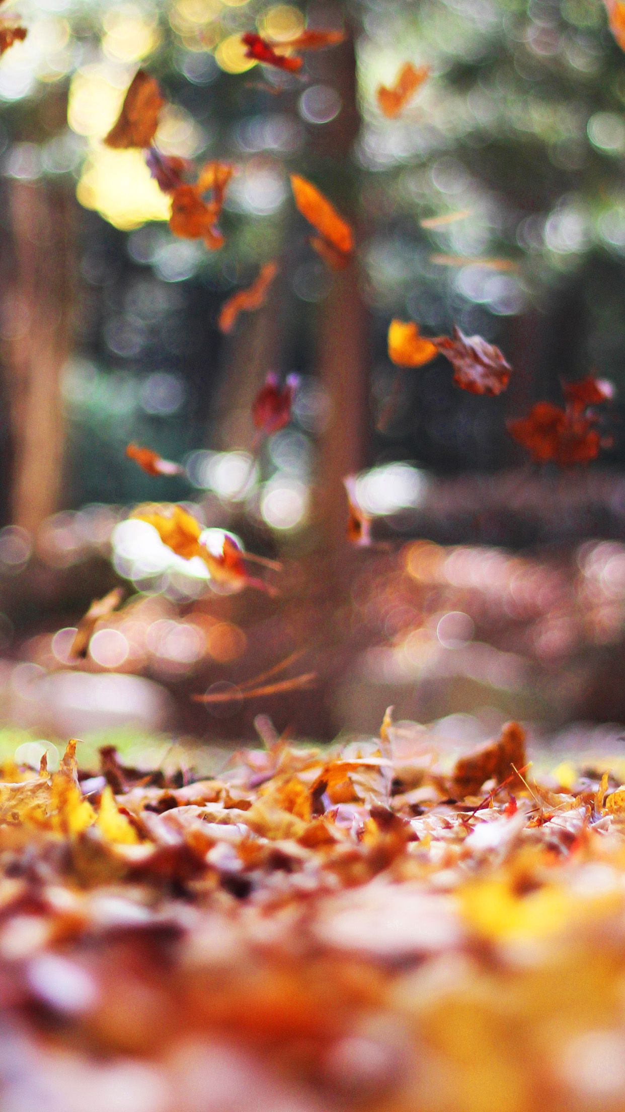 Aesthetic Leaves Wallpaper - KoLPaPer - Awesome Free HD Wallpapers