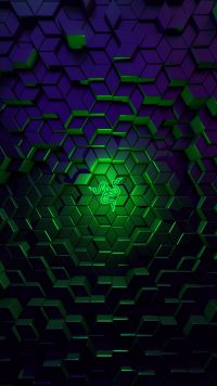 Aesthetic Razer Wallpaper 2