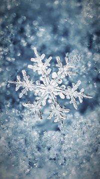 Aesthetic Snowflake Wallpaper