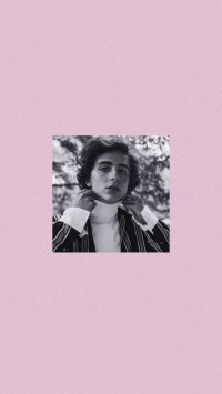 Aesthetic Timothee Chalamet Wallpaper 2