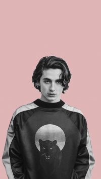 Aesthetic Timothee Chalamet Wallpaper