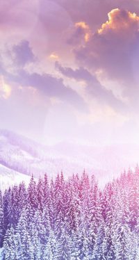 Aesthetic Winter Wallpaper 2