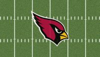 Arizona Cardinals Wallpaper 8