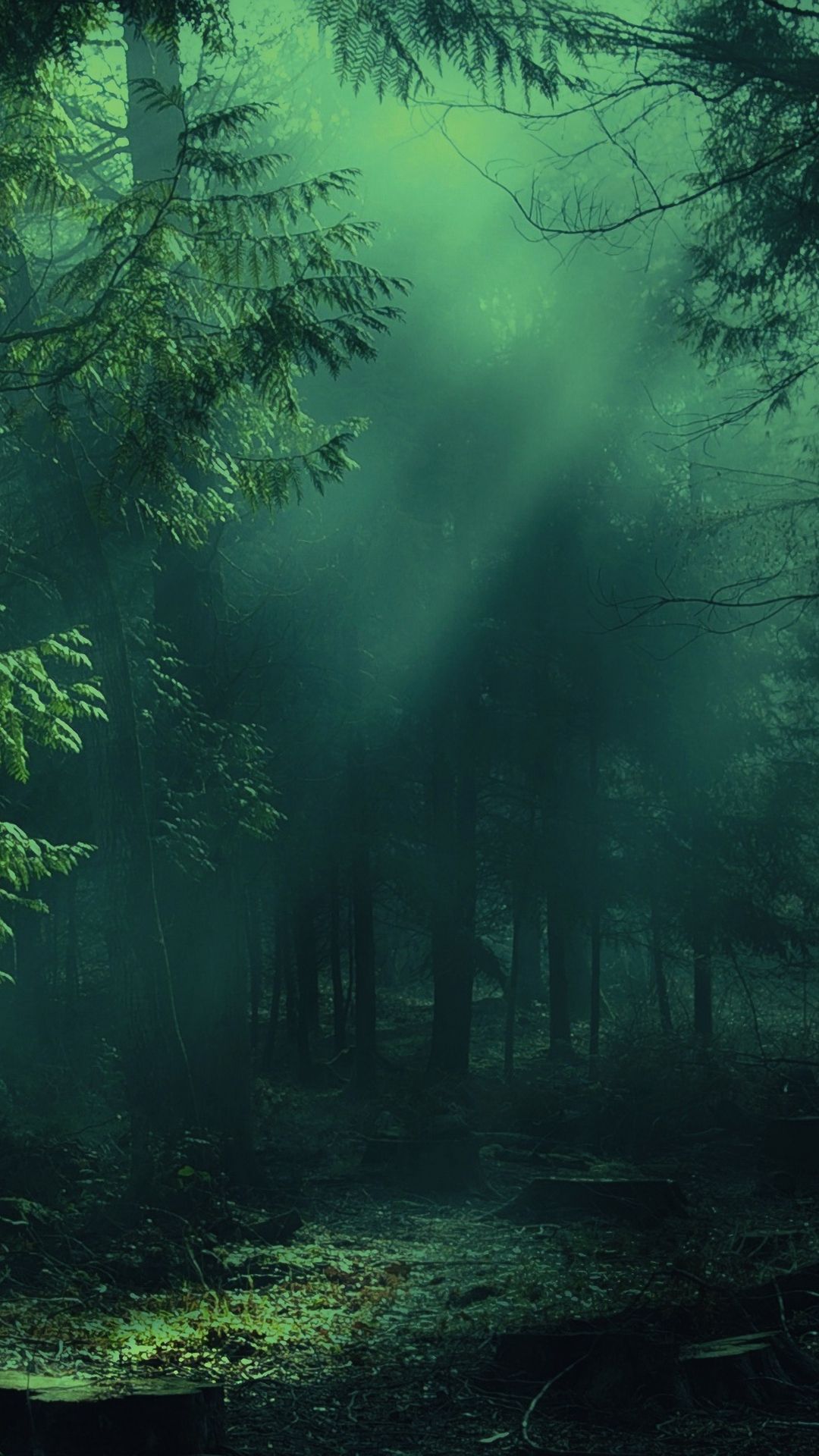 Beautiful Forest Wallpaper Kolpaper Awesome Free Hd Wallpapers