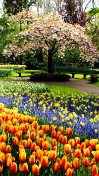 Beautiful Garden Wallpaper 3