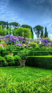 Beautiful Garden Wallpaper 4