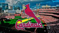 Cardinals Wallpaper 3