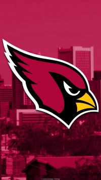 Cardinals Wallpaper NFL