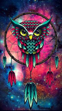 Colorful Owl Wallpaper