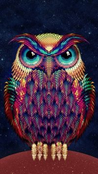 Cute Owl Wallpaper