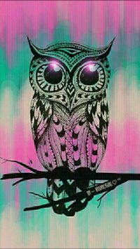 Cute Owl Wallpaper 4