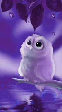 Cute Owl Wallpaper 5