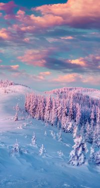 Cute Snow Wallpapers