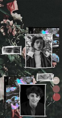 Cute Timothee Wallpaper