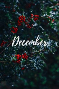 December Background 2