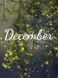 December Background 3