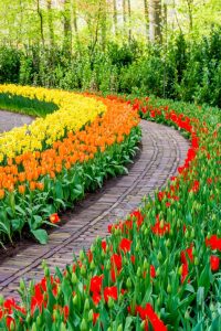 Flower Garden Wallpaper