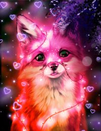 Fox Cute Wallpaper