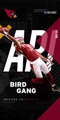 NFL Arizona Cardinals Wallpaper 2