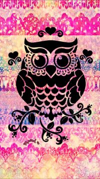 Owl Cute Wallpaper