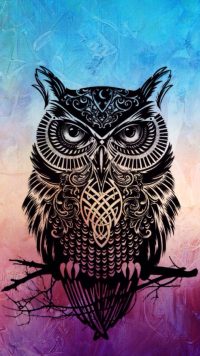 Owl Wallpaper 5