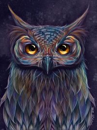 Owl Wallpaper Android