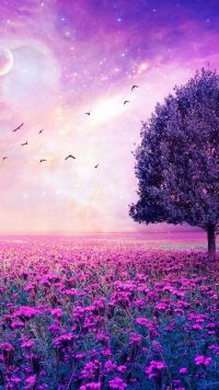 Purple Garden Wallpaper