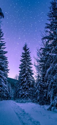 Snow Background Images