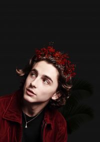 Timothee Chalamet Wallpaper