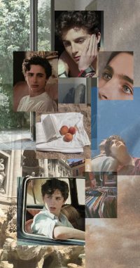 Timothee Chalamet Wallpaper iPhone