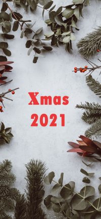 Xmas 2021 Background