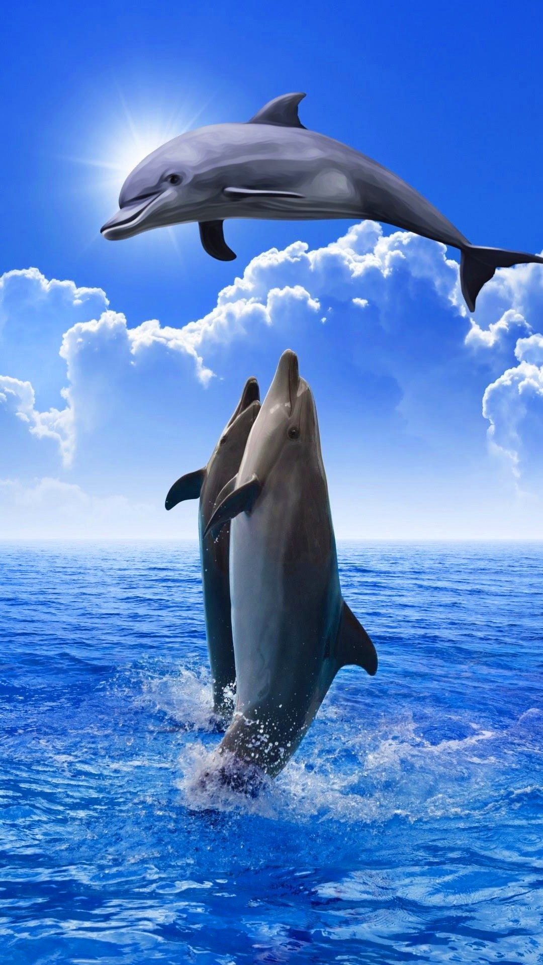 Iphone Dolphin Wallpaper Kolpaper Awesome Free Hd Wallpapers