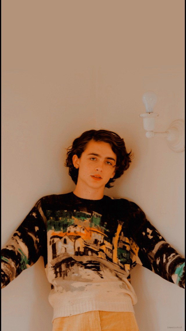 Timothee Chalamet Desktop Wallpaper