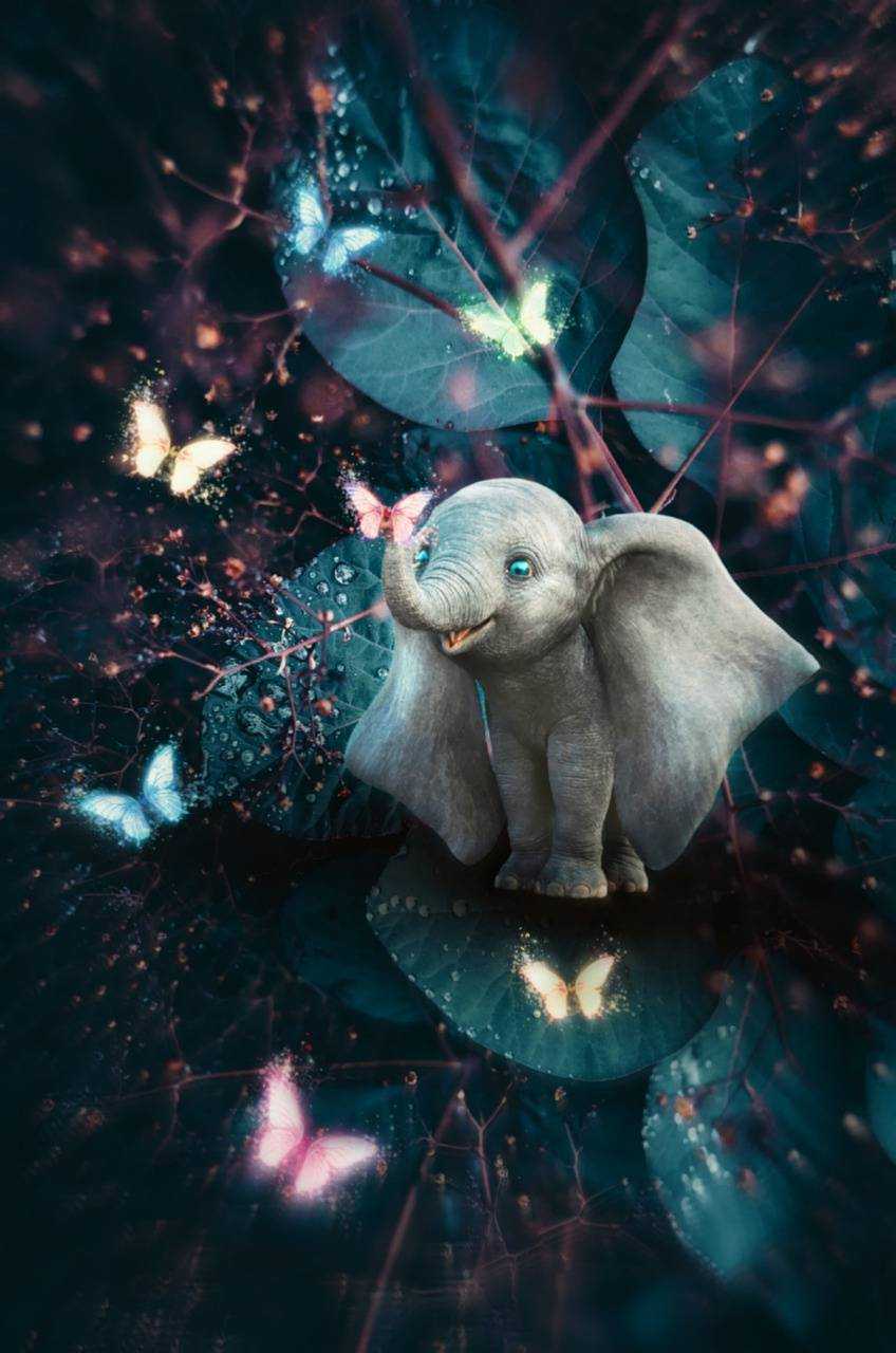 Baby Elephant Wallpaper - KoLPaPer - Awesome Free HD Wallpapers