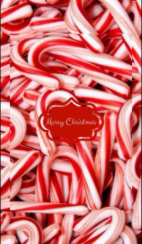 Candy Cane Christmas Wallpaper