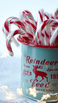 Candy Cane Photos