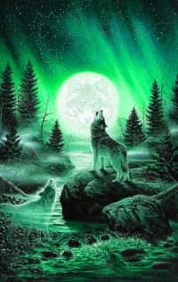 Cool Wolf Background