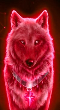 Cool Wolf Background 4