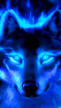 Cool Wolf Wallpaper 10