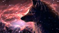 Cool Wolf Wallpaper 12