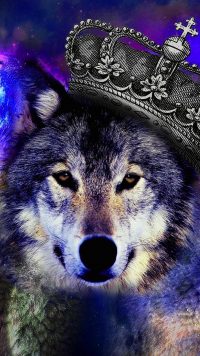 Cool Wolf Wallpaper 2